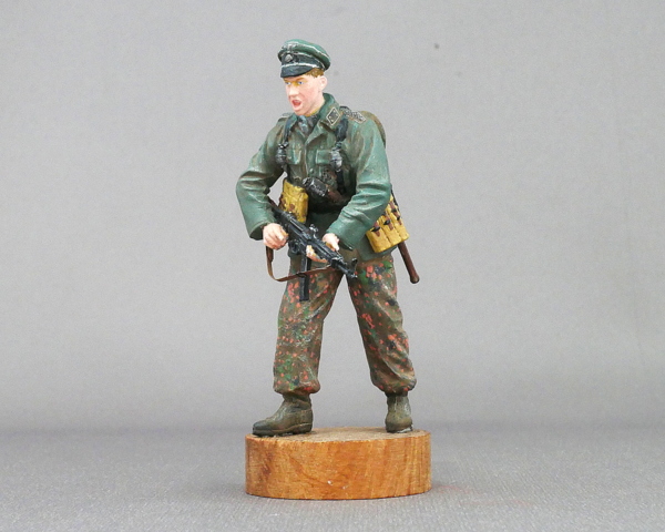 The Waffen SS officer of the Dragon