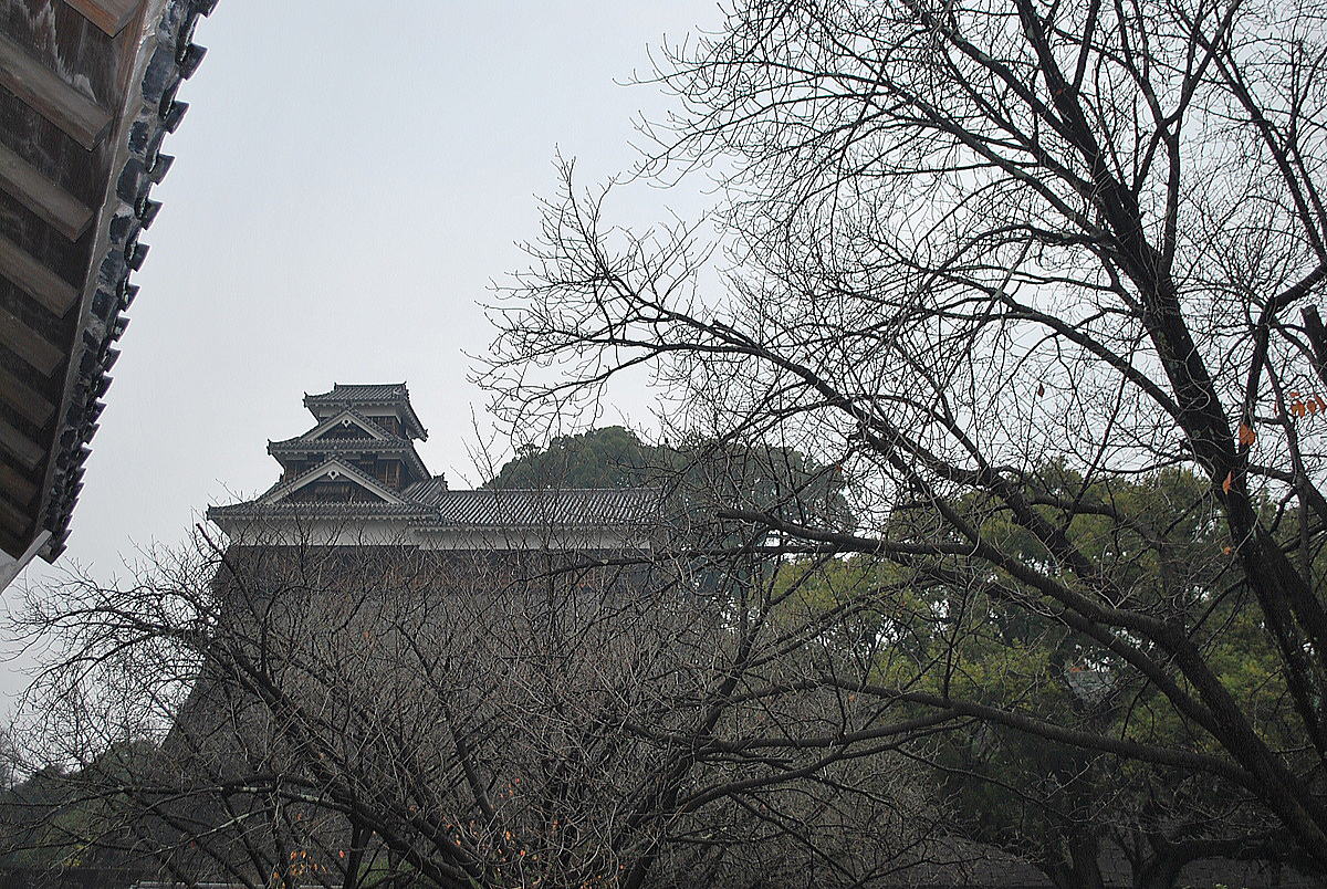 公園から見上げた熊本城