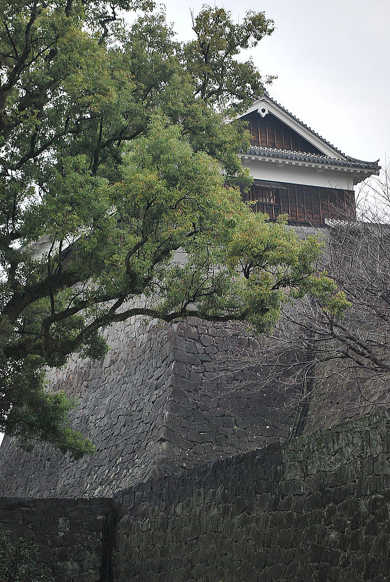 熊本城は1610年に完成された後も江戸時代を通じて櫓の追加など拡張されていました。難攻不落の城。