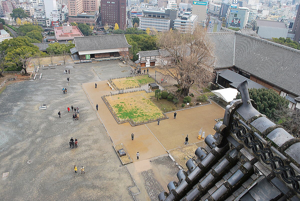 熊本城の上の方から公園を眺める